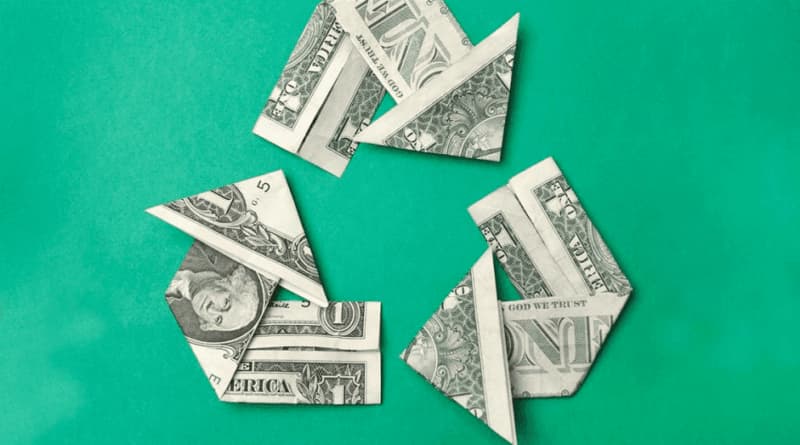 come risparmiare con la disinfestazione piccioni fai da te